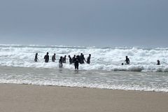 IMG-20230329-WA0088